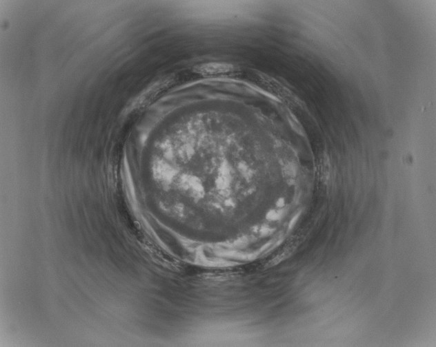 X0000075810763200610151429