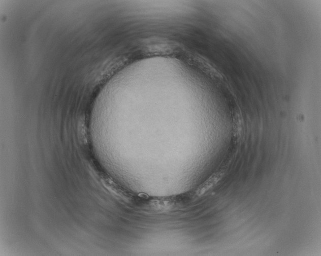 X0000075810764200610151430