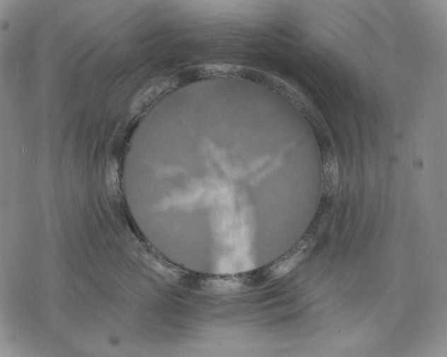 X0000075810765200610151430