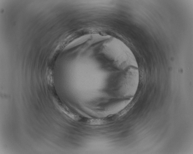 X0000075810766200610151430