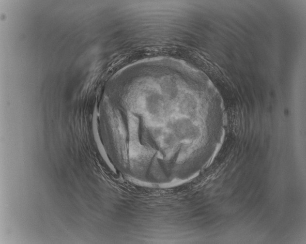 X0000075810770200610151429