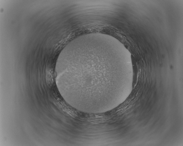 X0000075810772200610151429