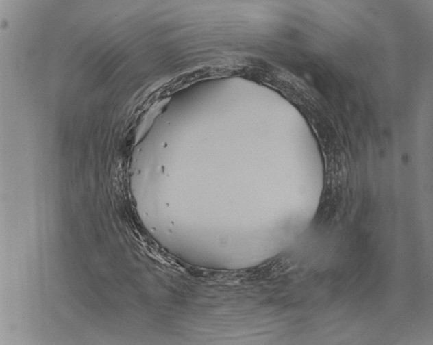 X0000075810773200610151429