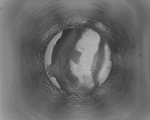 X0000075810774200610151429