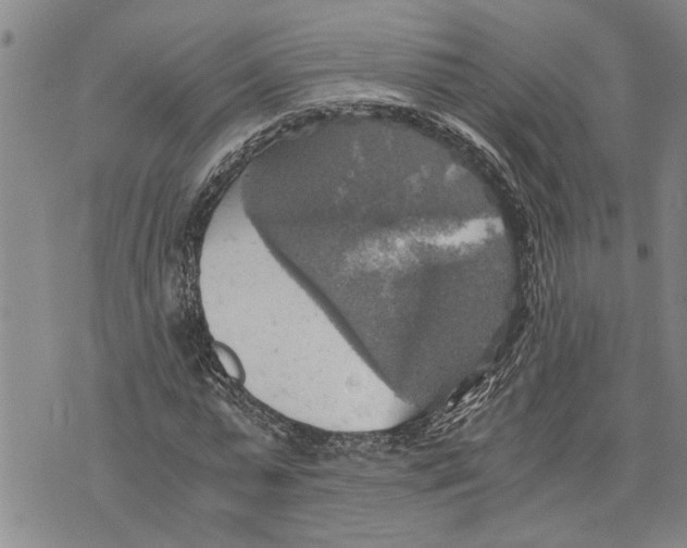 X0000075810775200610151429