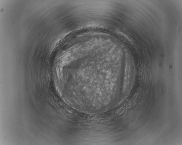 X0000075810776200610151429