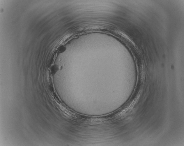 X0000075810777200610151429