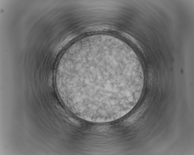 X0000075810778200610151429