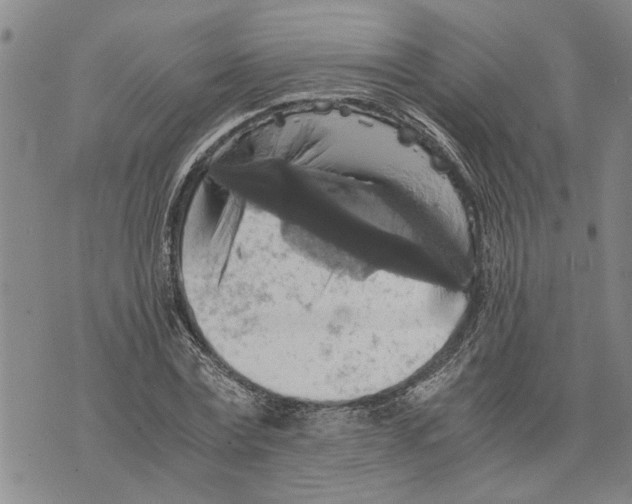 X0000075810779200610151429