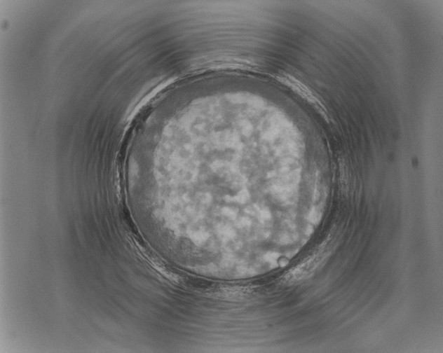 X0000075810782200610151429