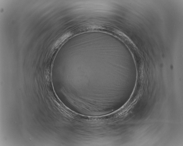 X0000075810785200610151429