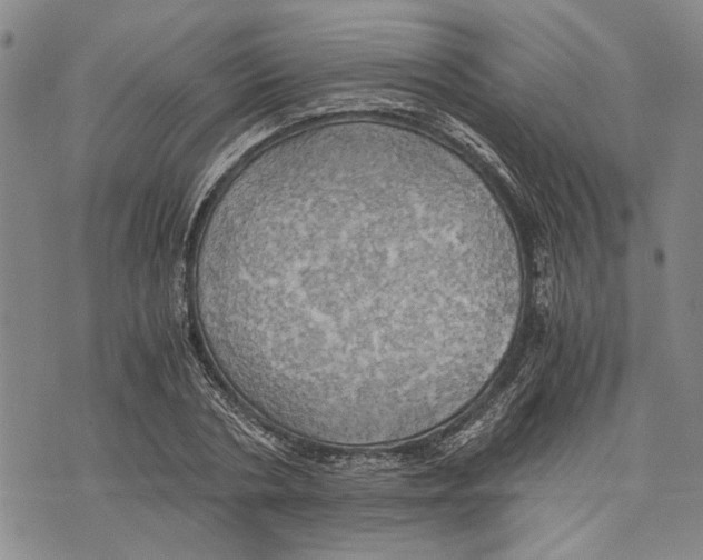 X0000075810786200610151429