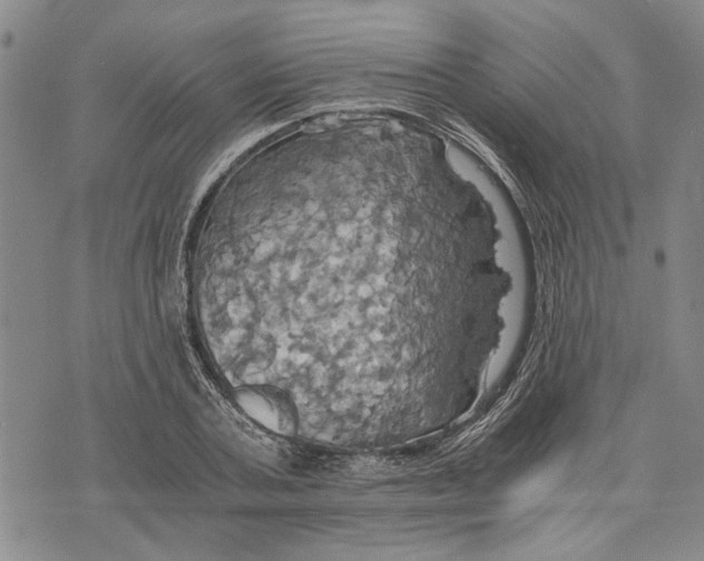 X0000075810787200610151429