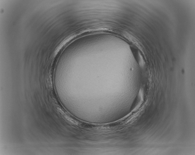 X0000075810789200610151428