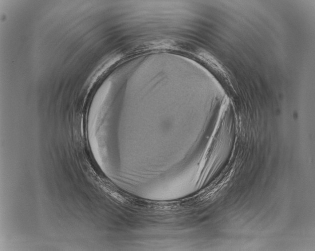 X0000075810790200610151428