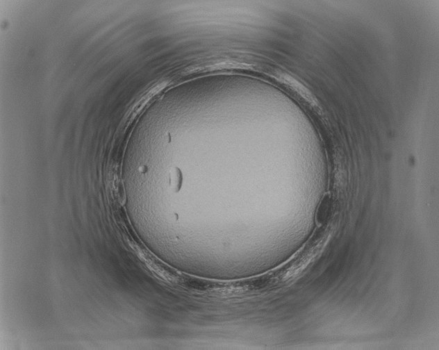 X0000075810793200610151428