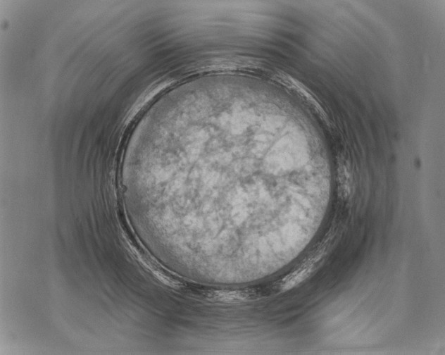 X0000075810794200610151428