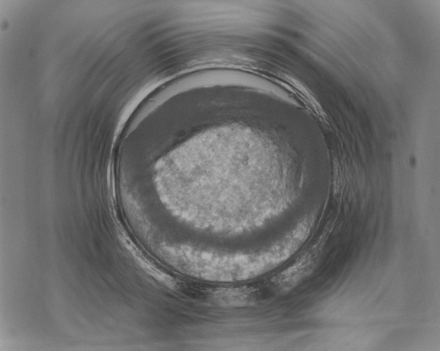 X0000075810796200610151428