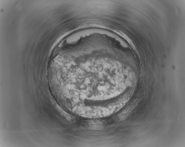 X0000075810799200610151428