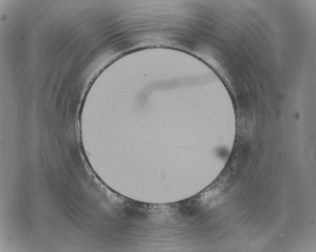 X0000075810807200610151428