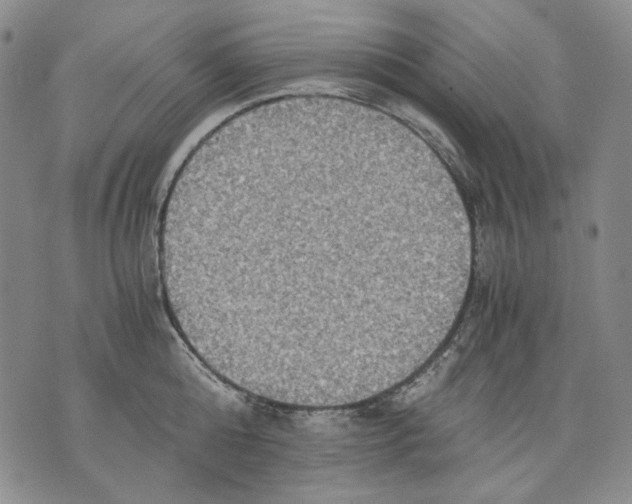 X0000075810808200610151428