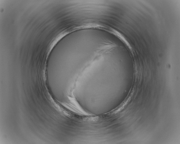 X0000075810810200610151428