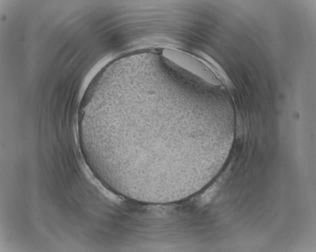 X0000075810812200610151428