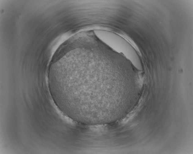 X0000075810813200610151428