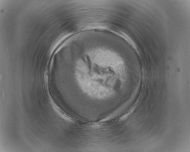 X0000075810814200610151428