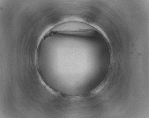 X0000075810815200610151428