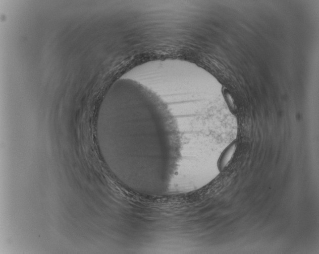 X0000075810817200610151427