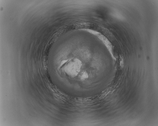 X0000075810819200610151427