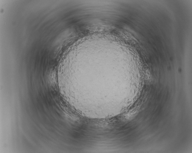 X0000075810820200610151427