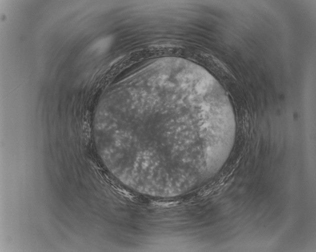 X0000075810821200610151427