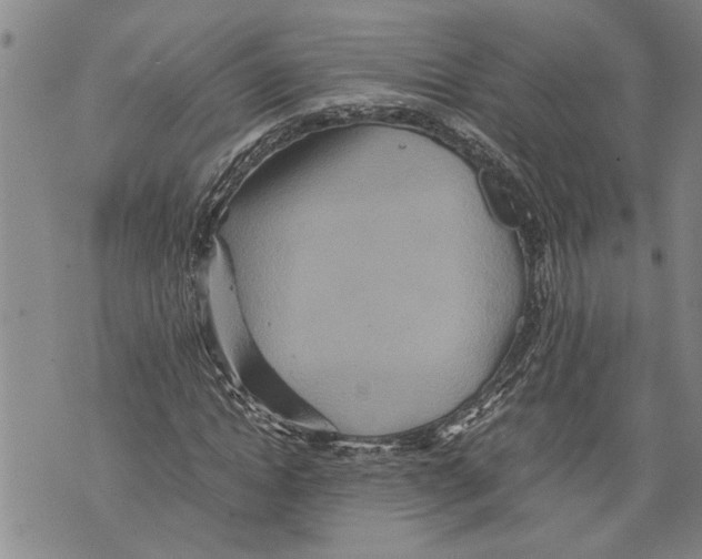 X0000075810822200610151427