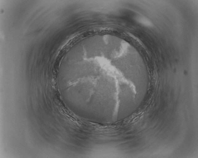 X0000075810823200610151427