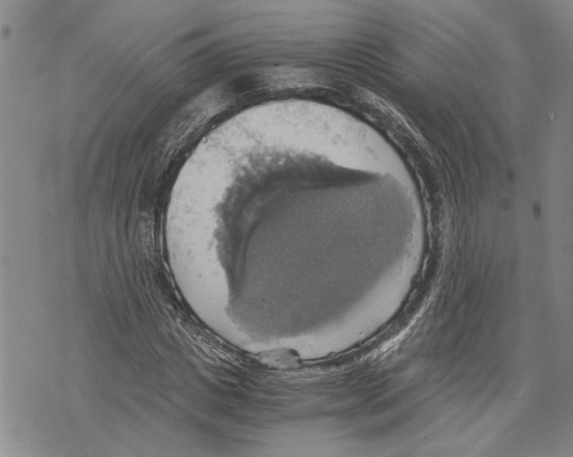 X0000075810825200610151427