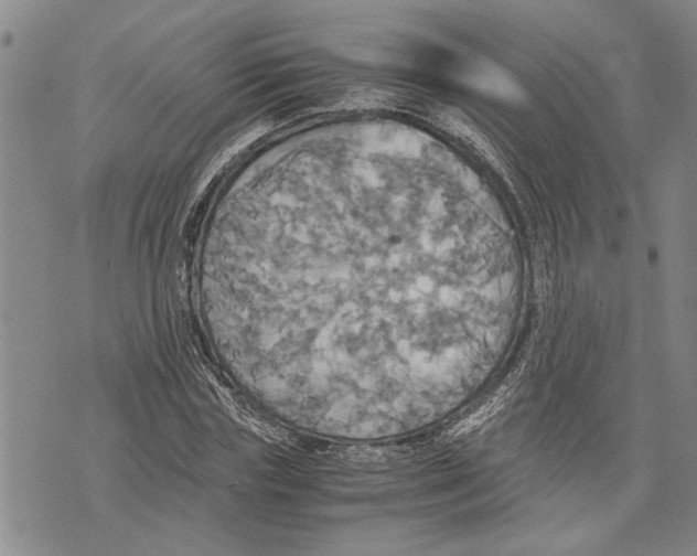 X0000075810827200610151427