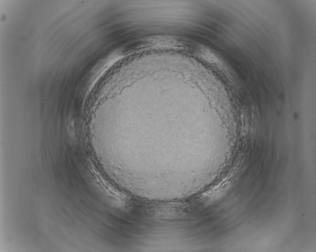 X0000075810828200610151427