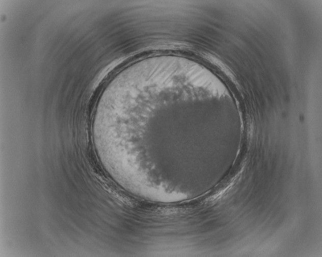 X0000075810829200610151427