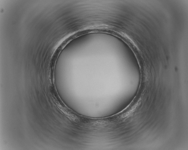 X0000075810830200610151427