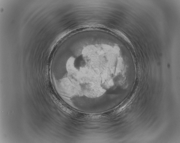 X0000075810831200610151427