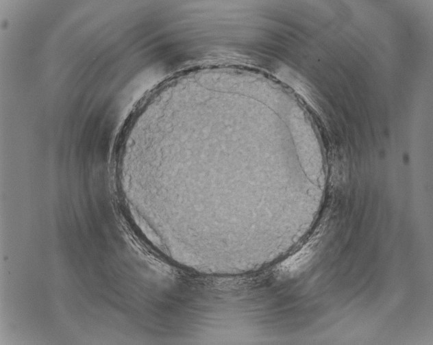 X0000075810832200610151428