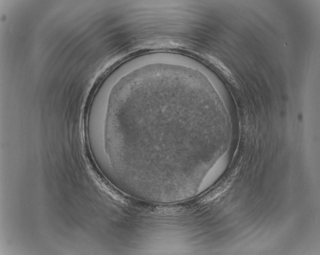 X0000075810840200610151428