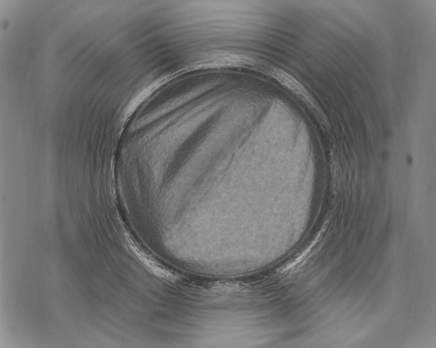 X0000075810842200610151428