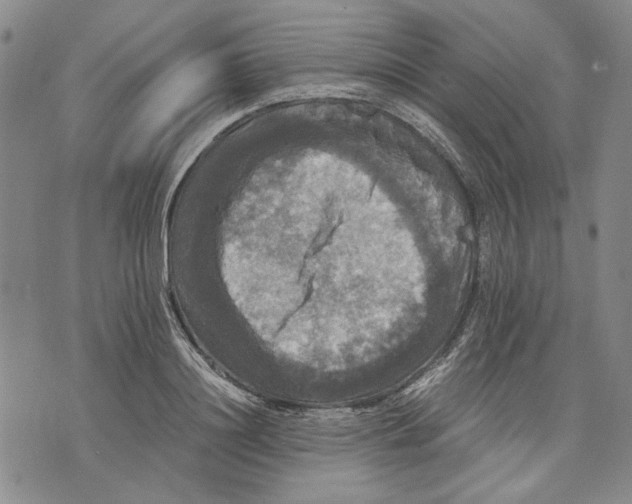 X0000075810844200610151428