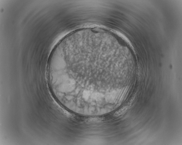 X0000075810847200610151428