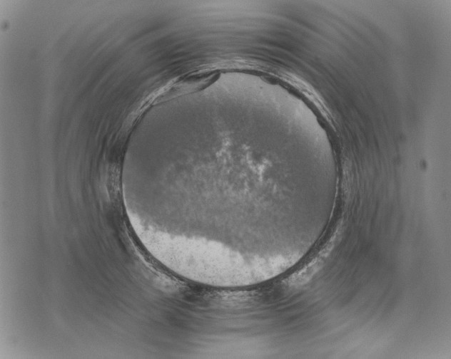 X0000075810849200610151428