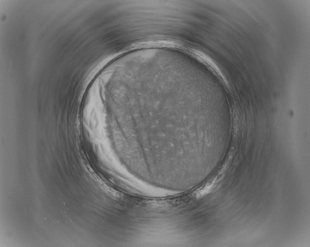 X0000075810852200610151428