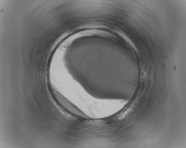 X0000075810853200610151428